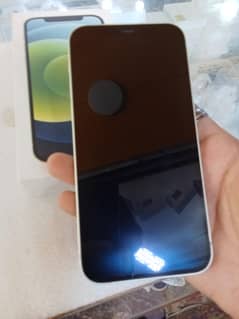 I phone 12 PTA APPROVED