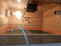 Incubator