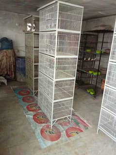 Multi-Compartment Bird Cage for Sale