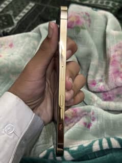 Iphone 12 pro max(PTA APPROVED)