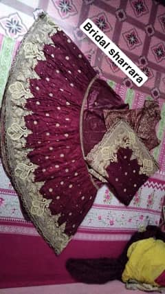 bridal sharrara