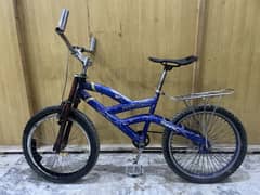 Bicycle, Cycle