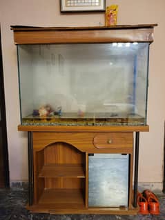 fish