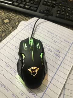 Gxt