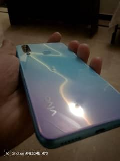 Vivo