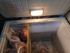 Waves Deep Freezer