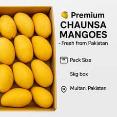 Chaunsa