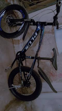 20 inc bicycle