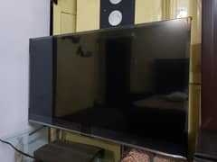 55"