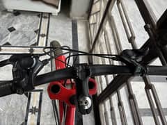 Dolphin bicycle