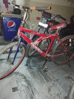 bicycle for kids