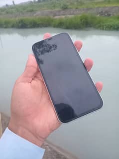 Iphone 11 white color Non pta
