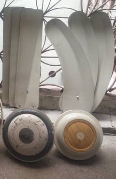 GFC & ZAFAR ceiling Fans in Copper winding