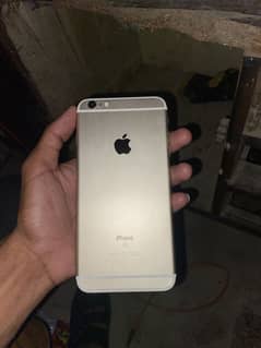 Pta aprove 6splus