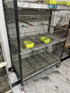 12 Portion Folding Cage