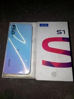 vivo