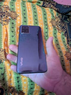 vivo