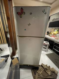 PEL fridge