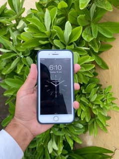 iPhone 7 Plus pta approved 256gb for sell lush condition