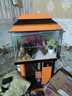 Fish aquarium for sale