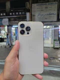 13 Pro Max 512