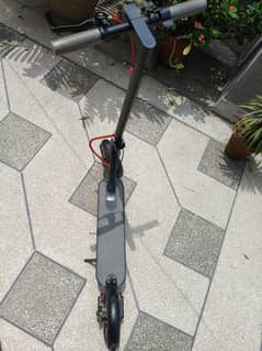 electric scooter 