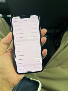 13pro