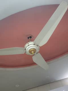 FAN FOR SALE