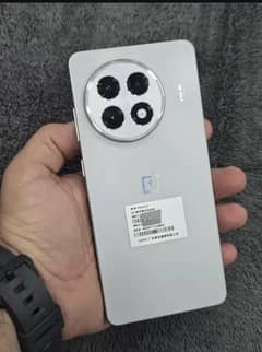 one plus ace 5/13R