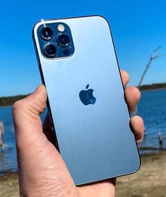 IPhone 12 available in wholesale price