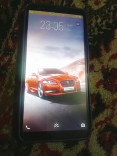 vivo