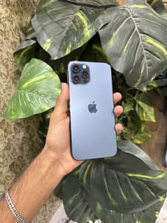 iPhone 12 pro max doul sim pta approved 94health 256gb 03197187443