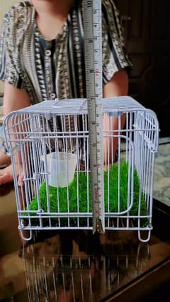cargo cage