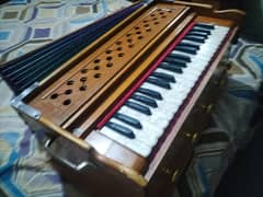 Bargo reeds Harmuniam