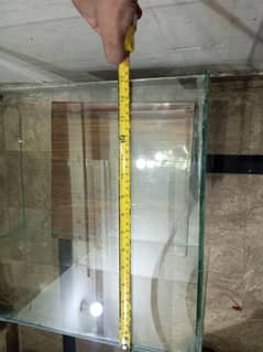 Clear Glass Display Cabinet with Shelf – Countertop Showcase