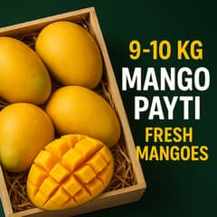 Aam/Mangoes
