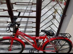 bicycle dolphin