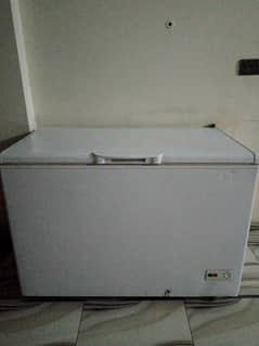 Haier