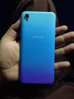 vivo