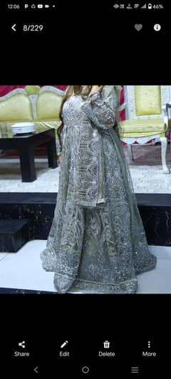 silver maxy