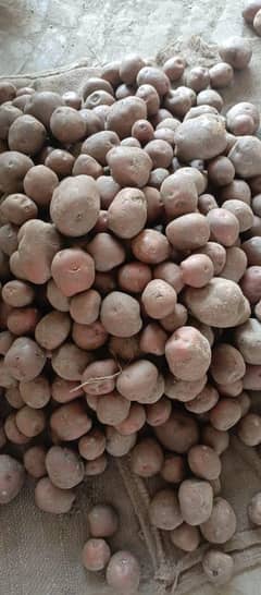 potatoes