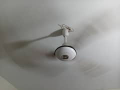 ceiling fan for sale. ORNATE brand.