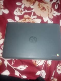 HP