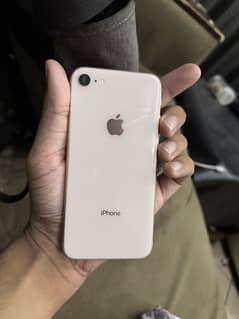 I phone 8 Pta approved