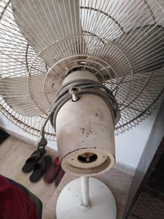 Pedestal fan
