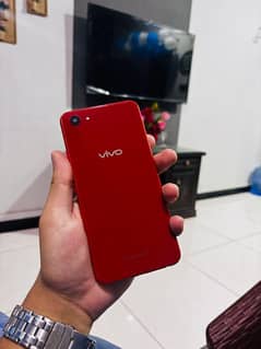 vivo