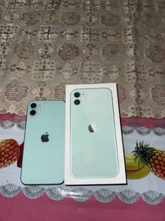 Apple iphone 11