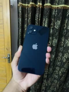 Iphone 12 Jv Non PTA