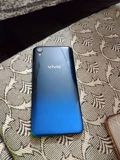 vivo