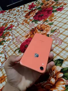 Iphone Xr jv